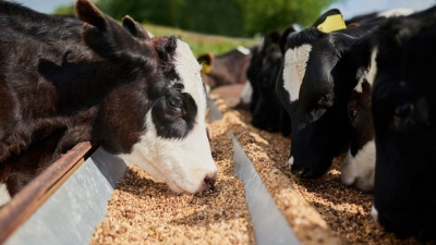 EU is too dependent on animal feed and fertiliser imports, warns Parliament study