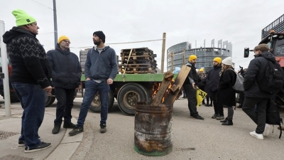 EU Parliament approves farmer-backed amendments on trade benefits for Ukraine