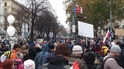 More than 40,000 march in Vienna against coronavirus lockdown
