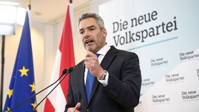 Immigration hardliner Nehammer to take over as new Austrian leader